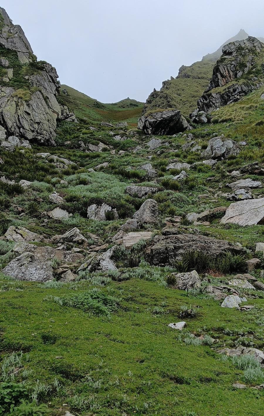 Team returning from Shrikhand submits report to SDM