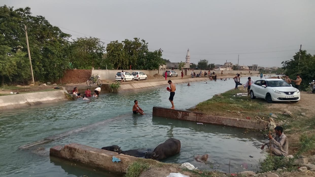 Panchayats will now make public announcements urging people not to bathe in canals.