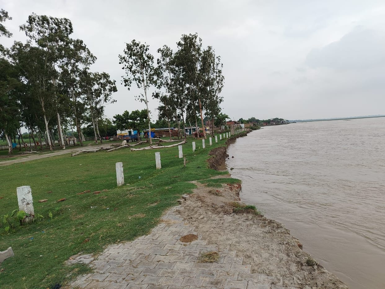 Sharda changes its stance again, cutting begins in Grant No. 12