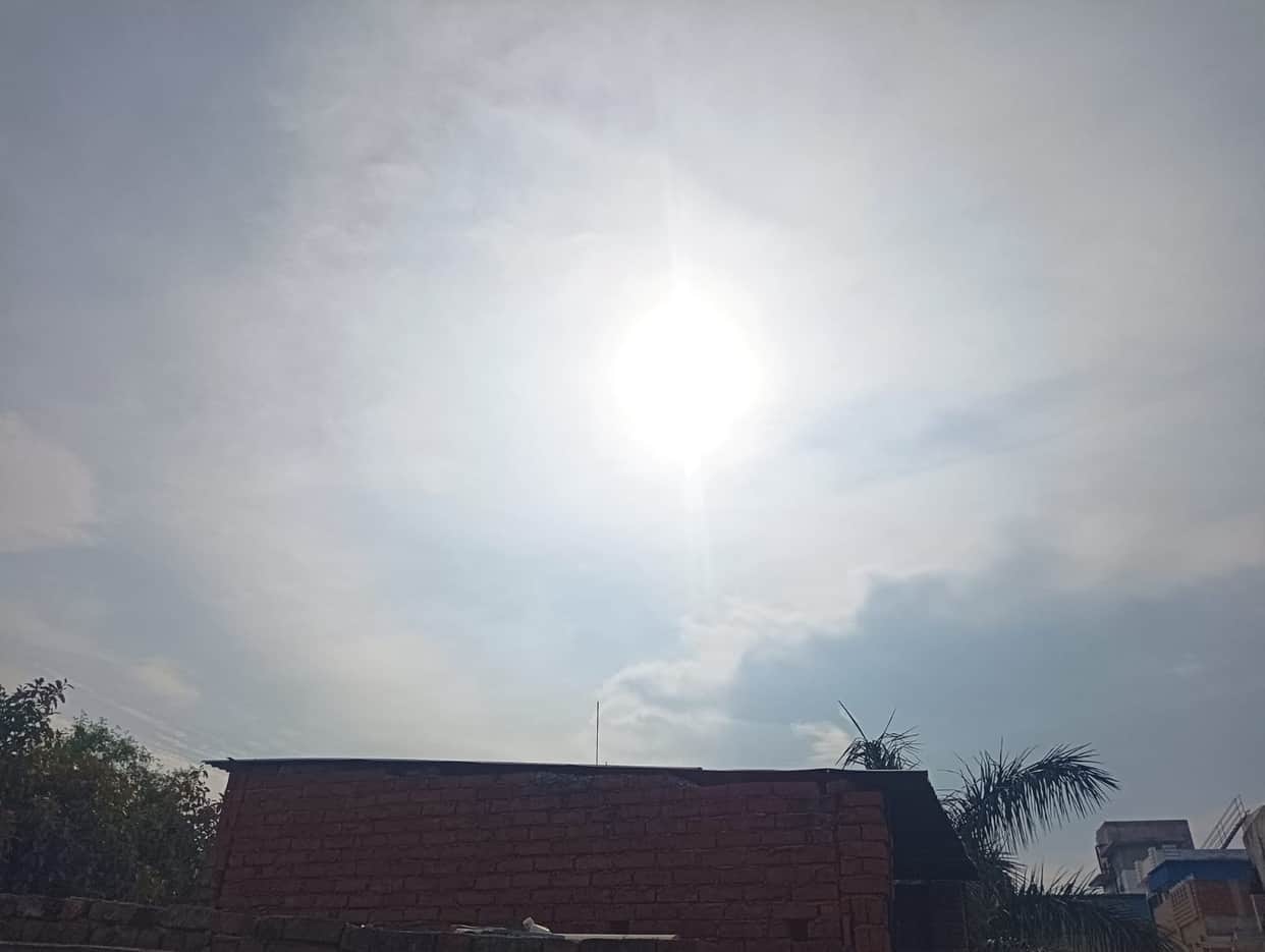 The pattern of alternating sun and shade continued throughout the day; the maximum temperature rose by one degree.