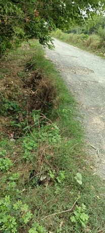 Risk of accidents due to soil erosion along the roadside.