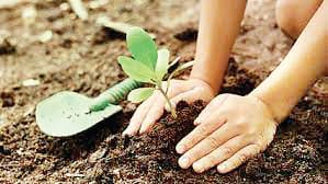 20.97 lakh saplings will be planted in the district.