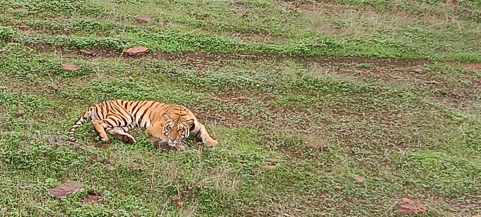 (प्रतीकात्मक फोटो)