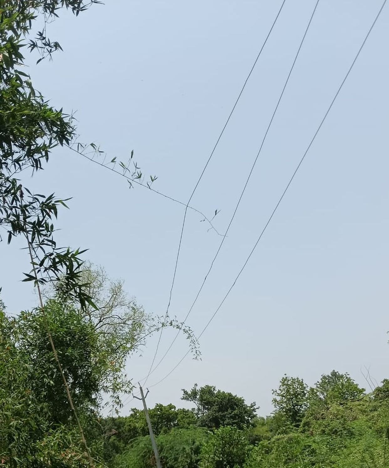 Power outage during rain; consumers inconvenienced