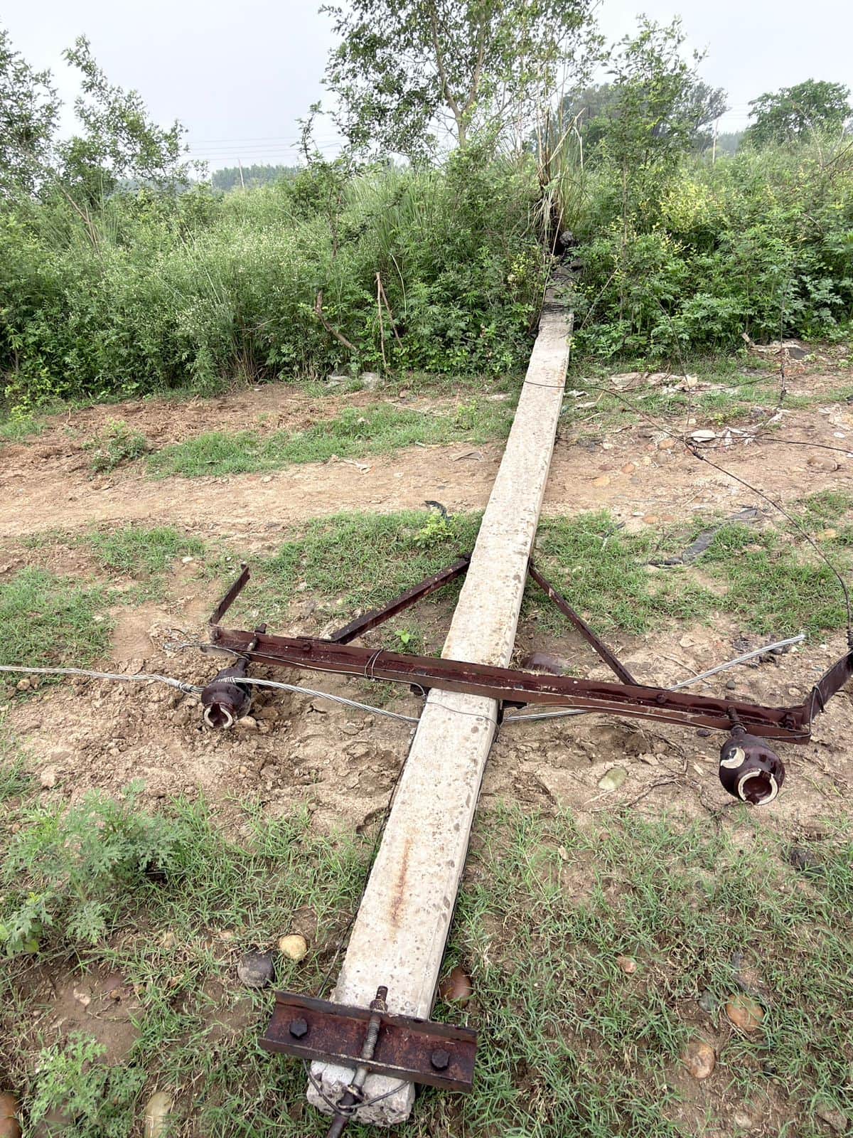 Thieves first toppled an electricity pole and then made off with wires worth three lakh rupees.