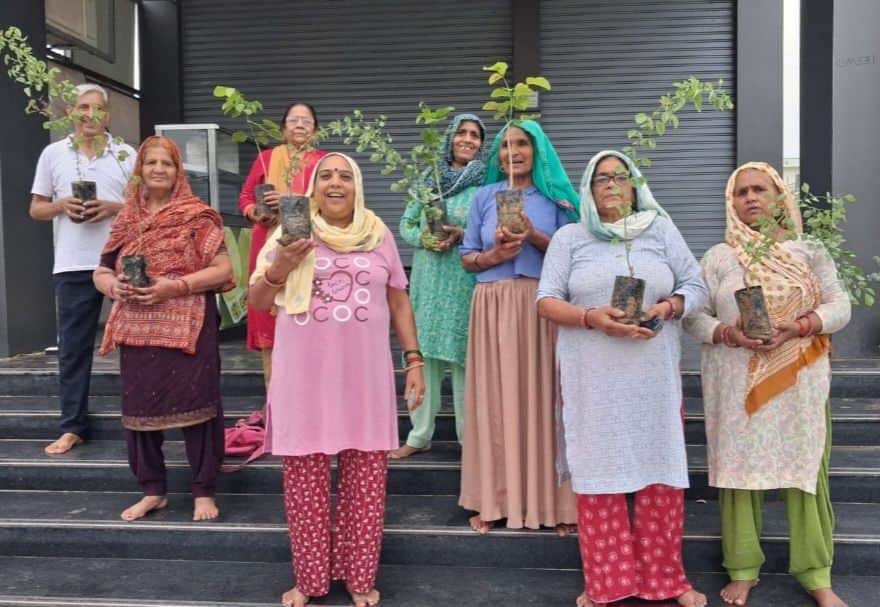 101 saplings planted in HUDA sector