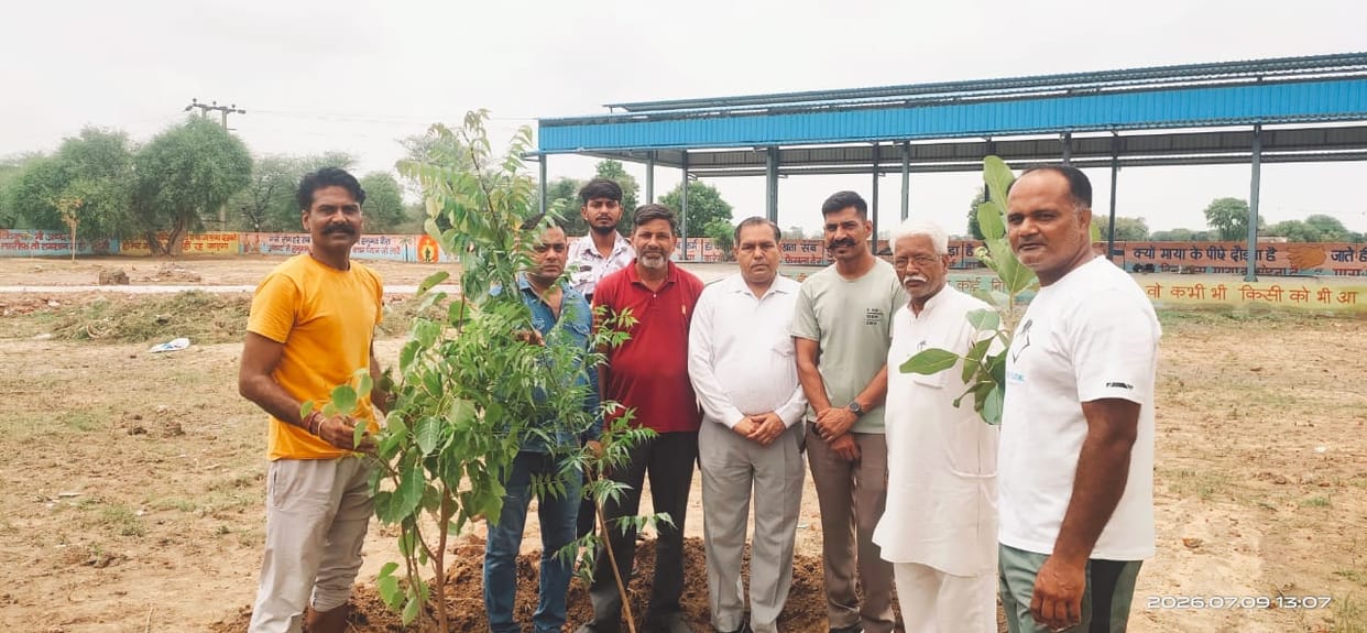 Tree plantation carried out at the cremation ground.