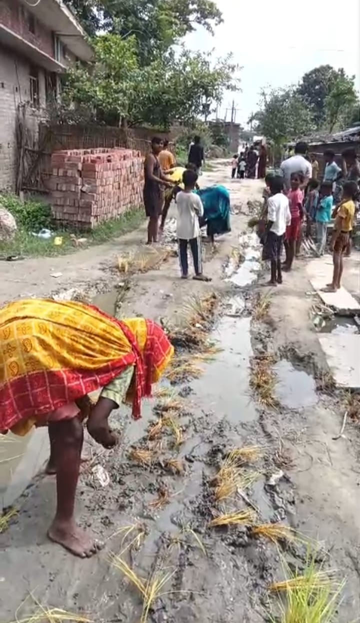 Protest registered by planting paddy on the road.