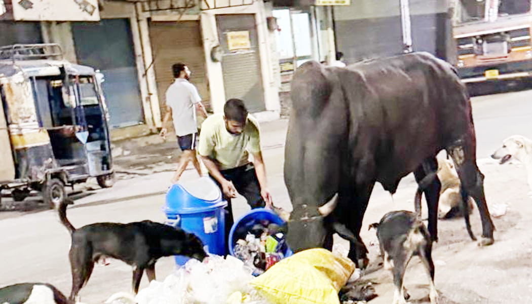 Three shopkeepers fined for dumping garbage on the road