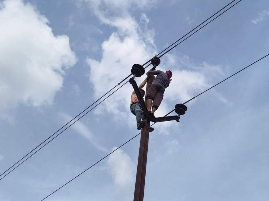 Insulator burnt six times in 45 days; power out for six hours across 100 villages.