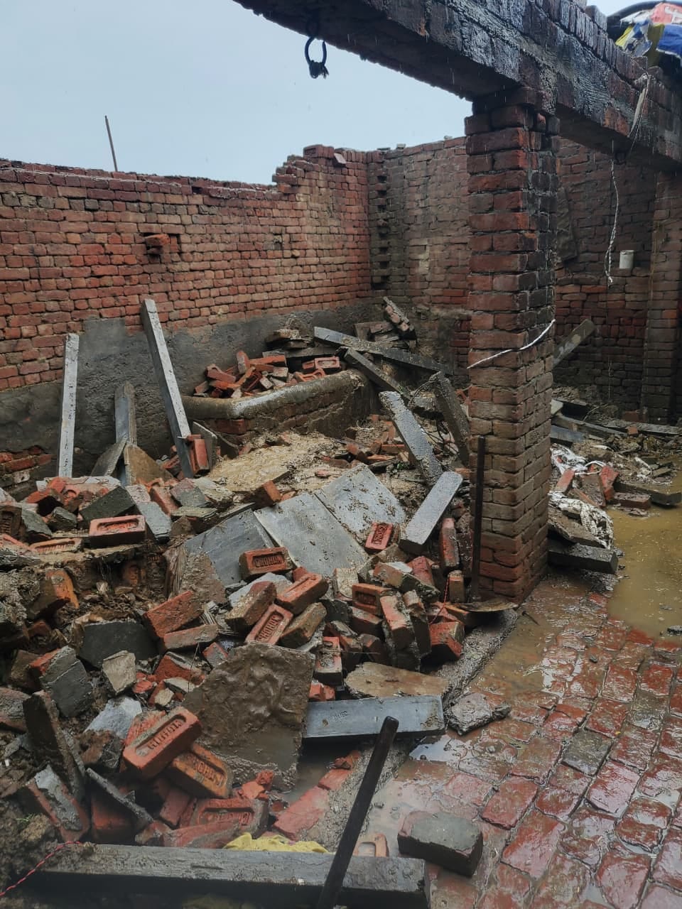 Room roof collapses during rain; woman and two buffaloes injured after being trapped under debris.