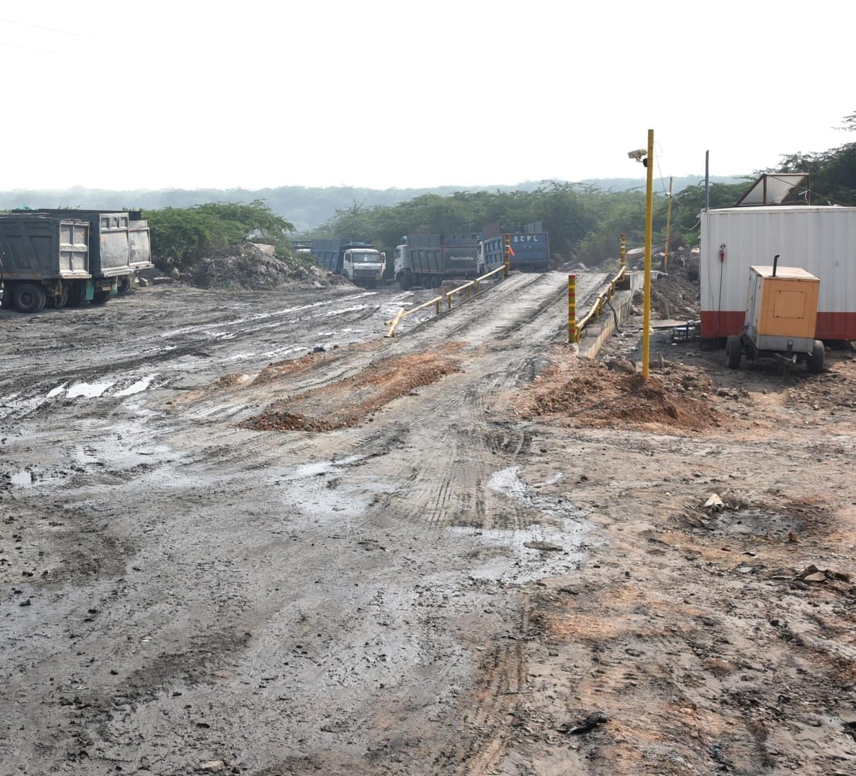 A forest will be grown on a heap of ash; the Forest Department will conduct a scientific experiment in the Aravallis.