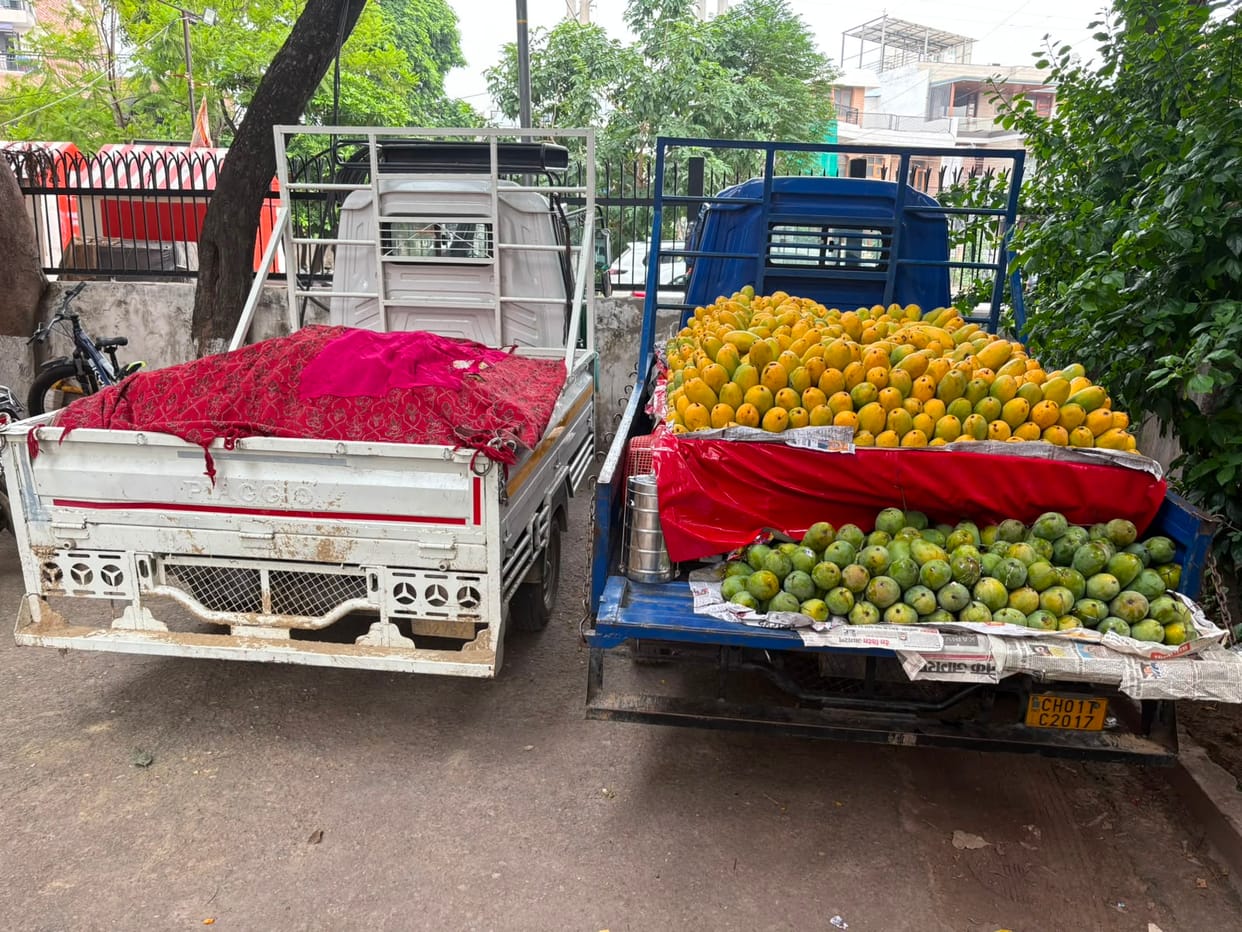Fruit vendor arrested for dragging Traffic SHO 200 meters after his arm got caught in an auto-rickshaw.