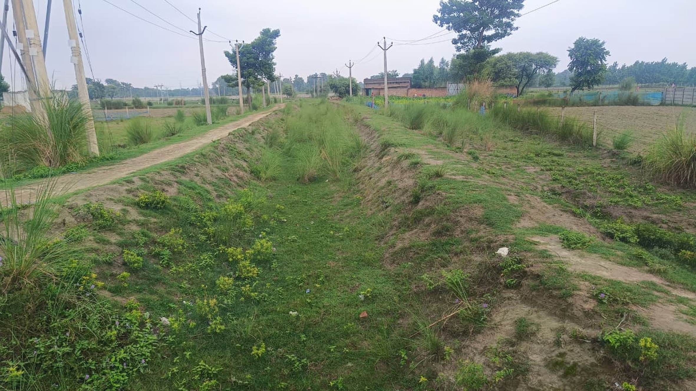 सूखी पड़ी गजपतिपुर माइनर।