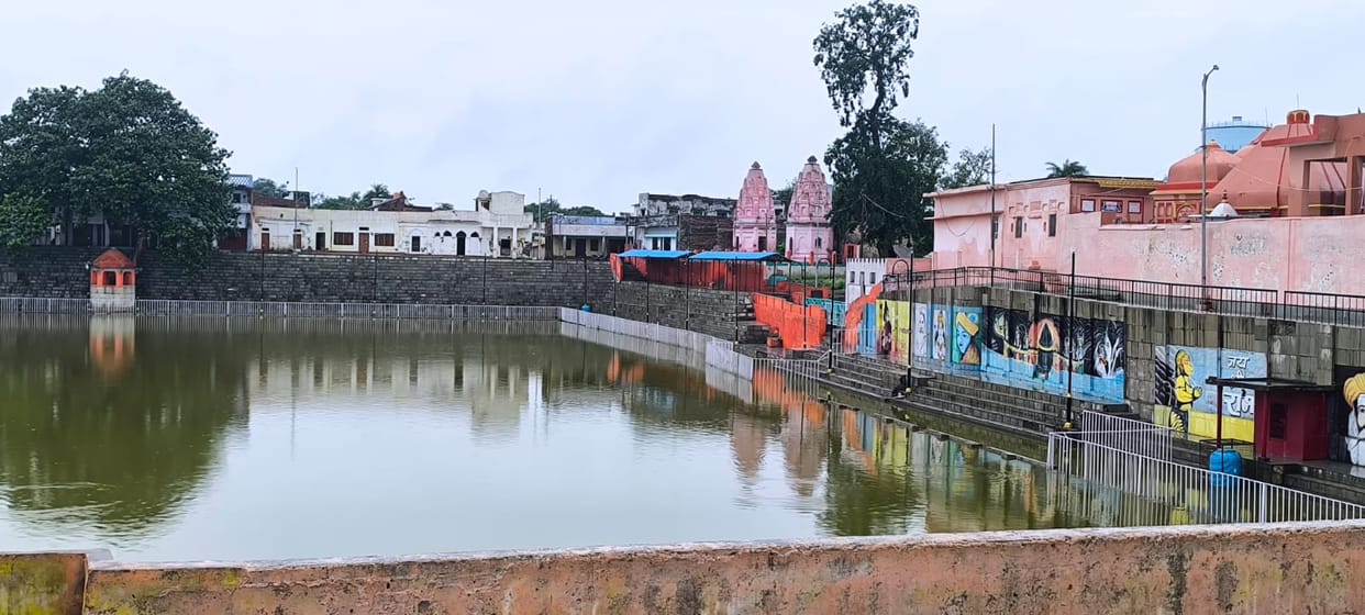 Hundreds of fish died in Dadhichi Kund