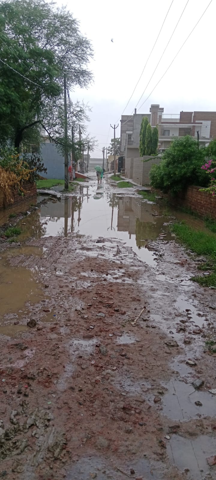 Ward 13 lane in a dilapidated state; residents plagued by an unpaved road and filth for years.