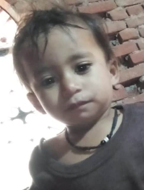 Innocent child and elderly woman die from snake bite