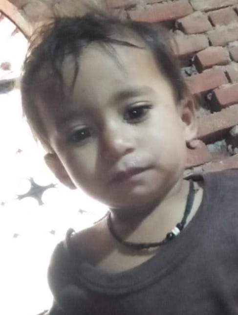 Innocent child and elderly woman die from snake bite