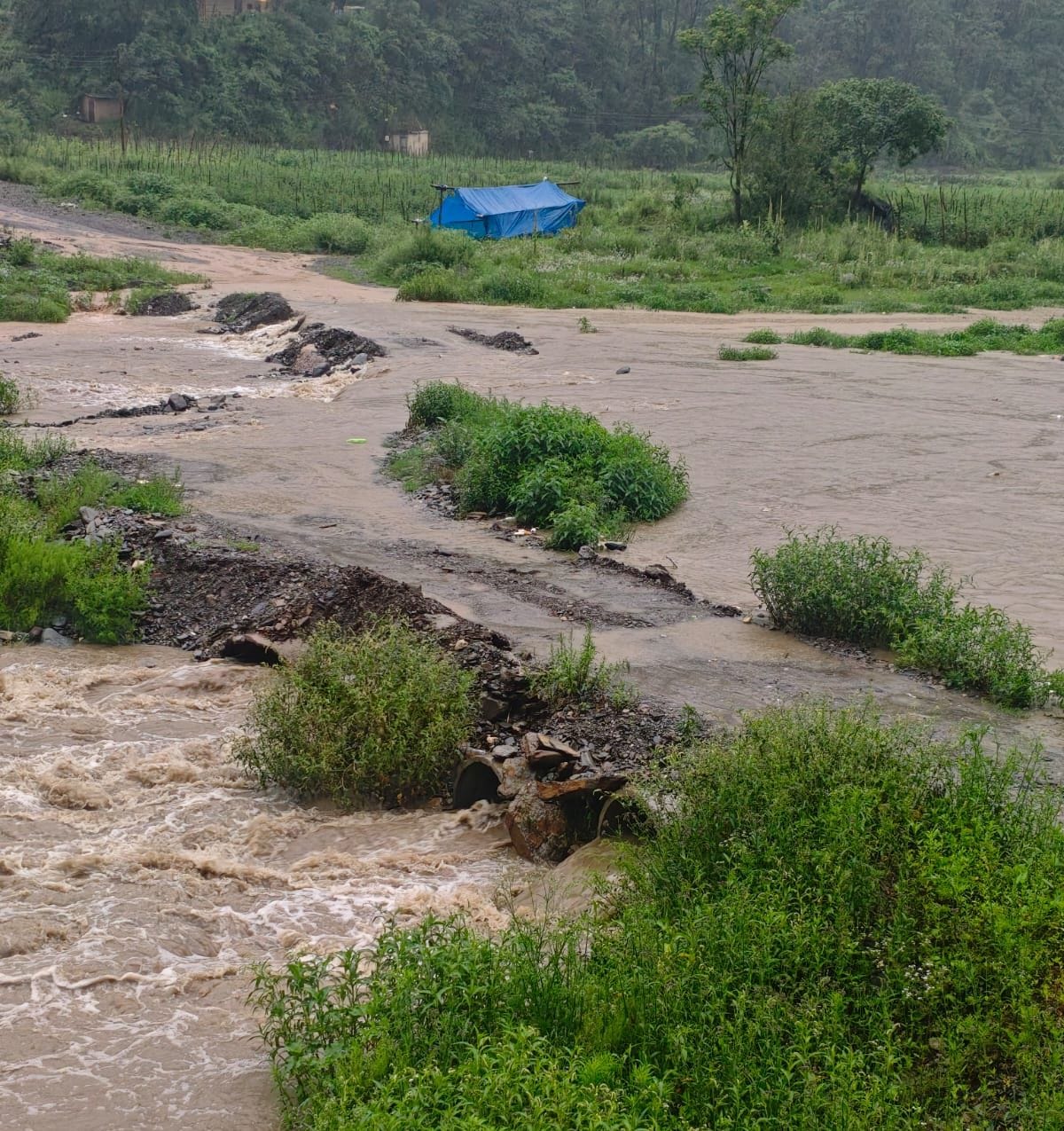 Ashwini Khad in spate due to heavy rain; Kandaghat-DDL

Chohda-Chail link road closed; farmers' crops destroyed.