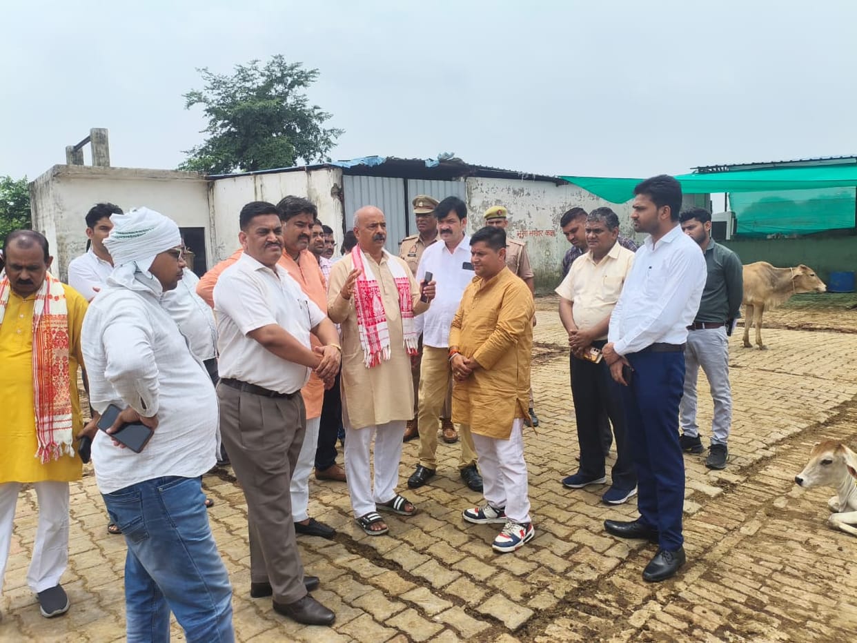 There is no shortage of funds for cow shelters.