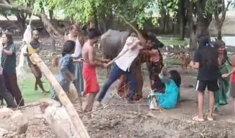 Lathis rained down on women and children