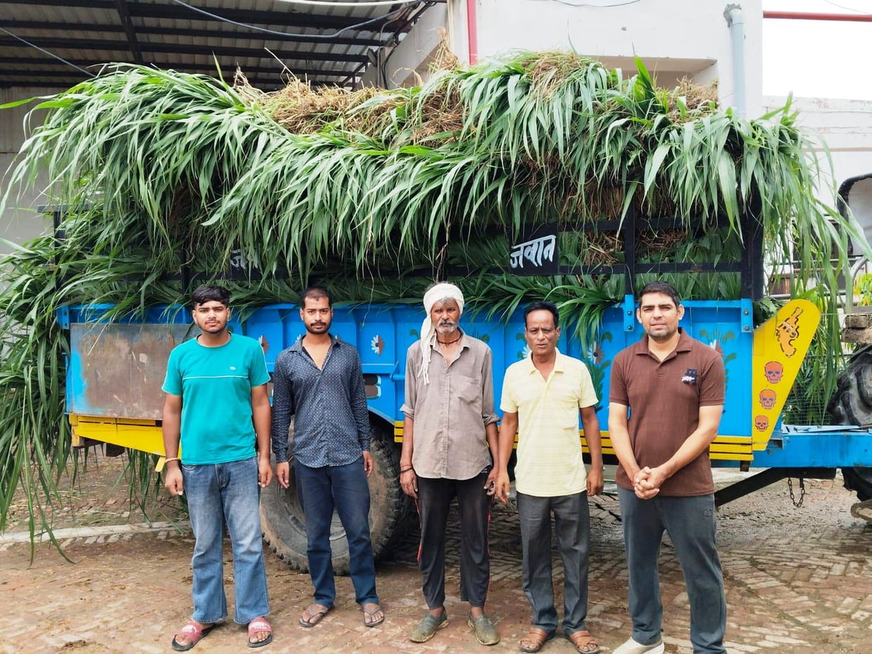 Contributed 26 quintals of green fodder to the cowshed.