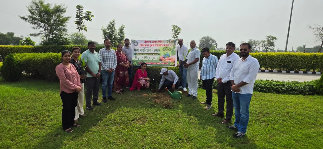 Saplings planted on the College of Agriculture campus.