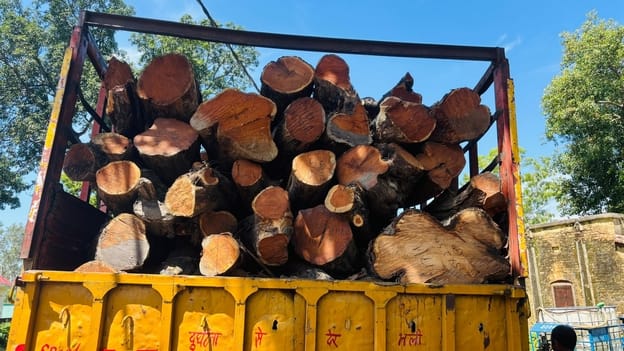 Three forest officials suspended in Khair wood case
