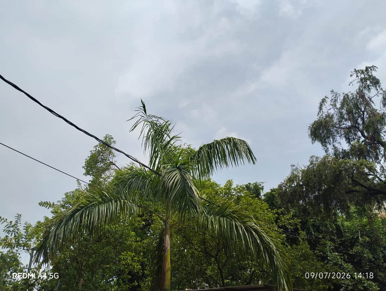 Drizzle increases humidity; mercury drops 8 degrees in 7 days.