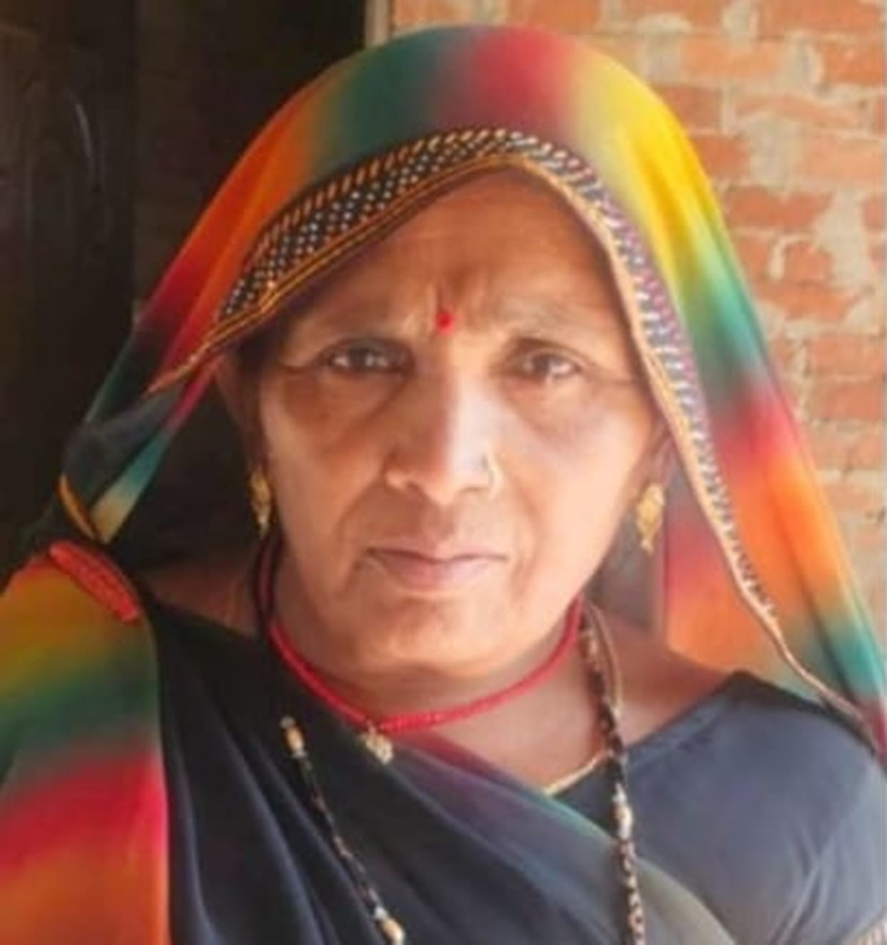 Mother suffers electric shock while clearing weeds in the field; daughter rushes to save her, both lose their lives.