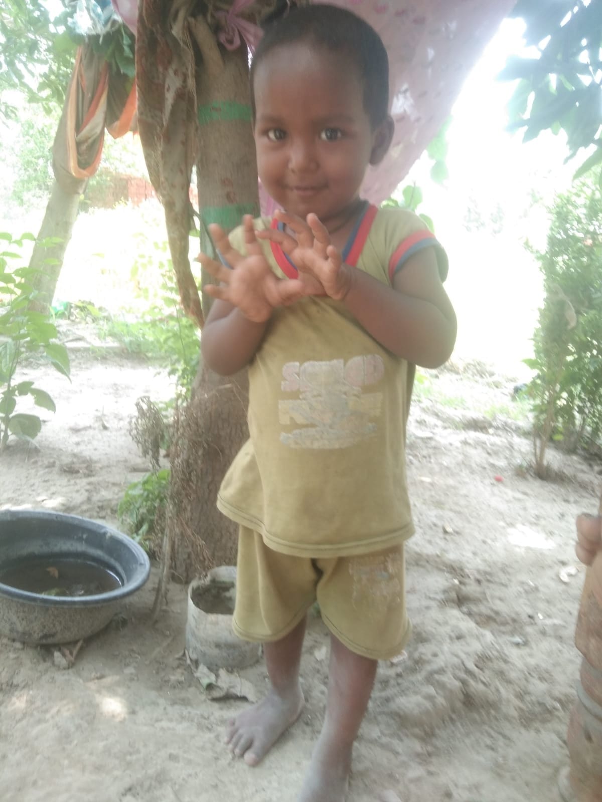 Two-and-a-half-year-old child dies from snake bite while playing at home