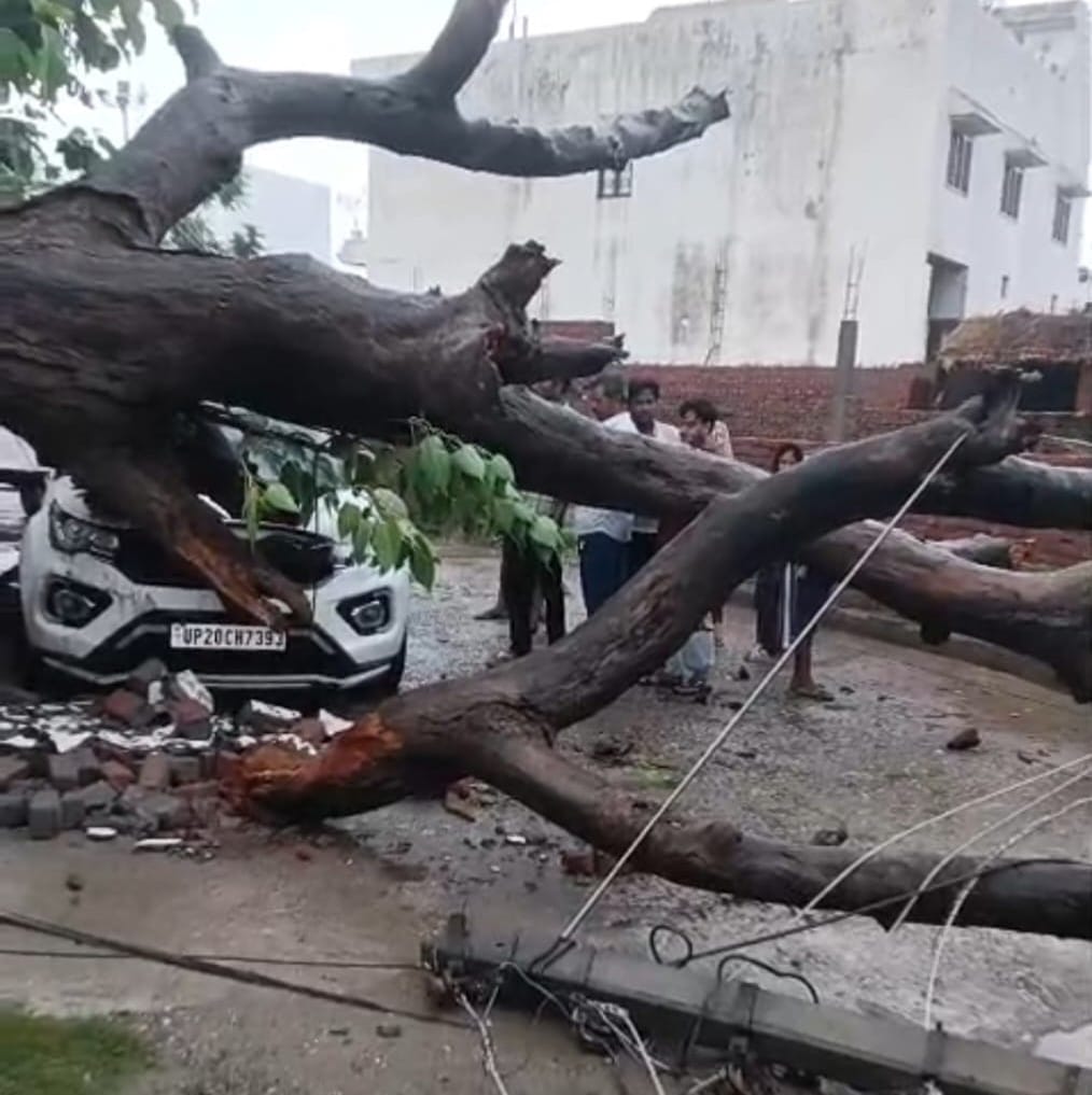 Neem tree fell on the wall of a government school