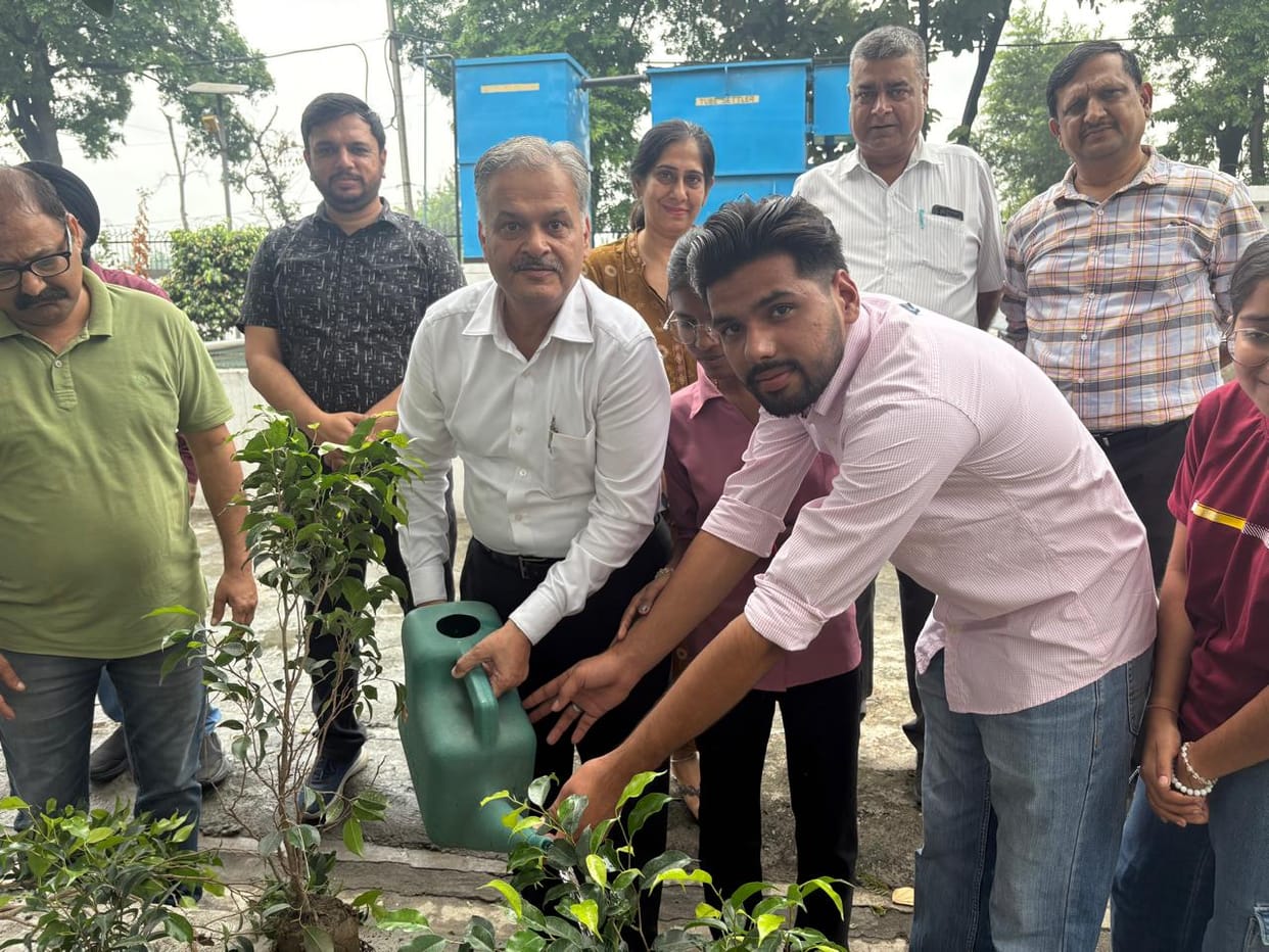 Took a pledge to care for plants after planting them