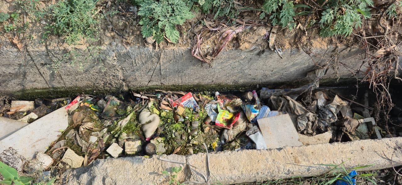 शहर में रोहतक गेट के समीप नाले में जमा कूड़ा कचरा। 