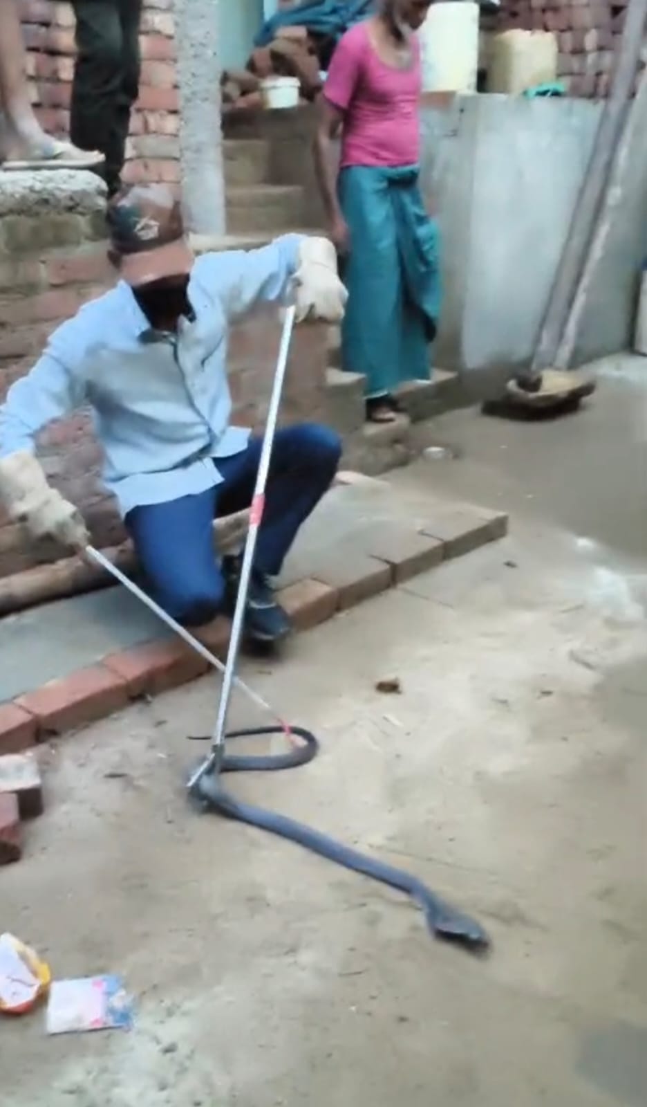Snake rescuer catches six-foot-long cobra despite being attacked three times.