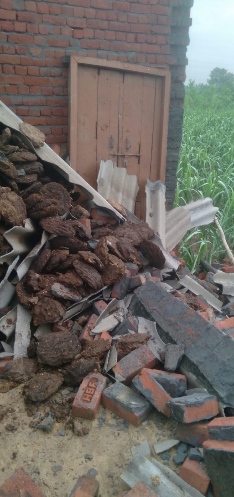 A laborer's house collapsed suddenly as soon as the sun came out.