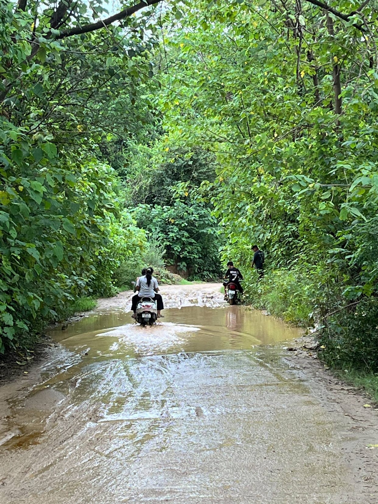The Batuhi-Dhamandri road, built 20 years ago, is in a dilapidated state; the department has failed to construct drainage outlets to this day.