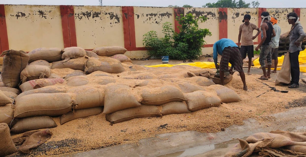 Thousands of quintals of wheat getting drenched under the open sky.
