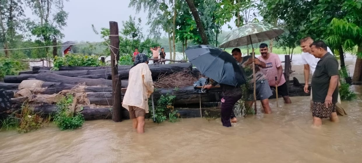 Floodwater entered the Kiratpur forest outpost