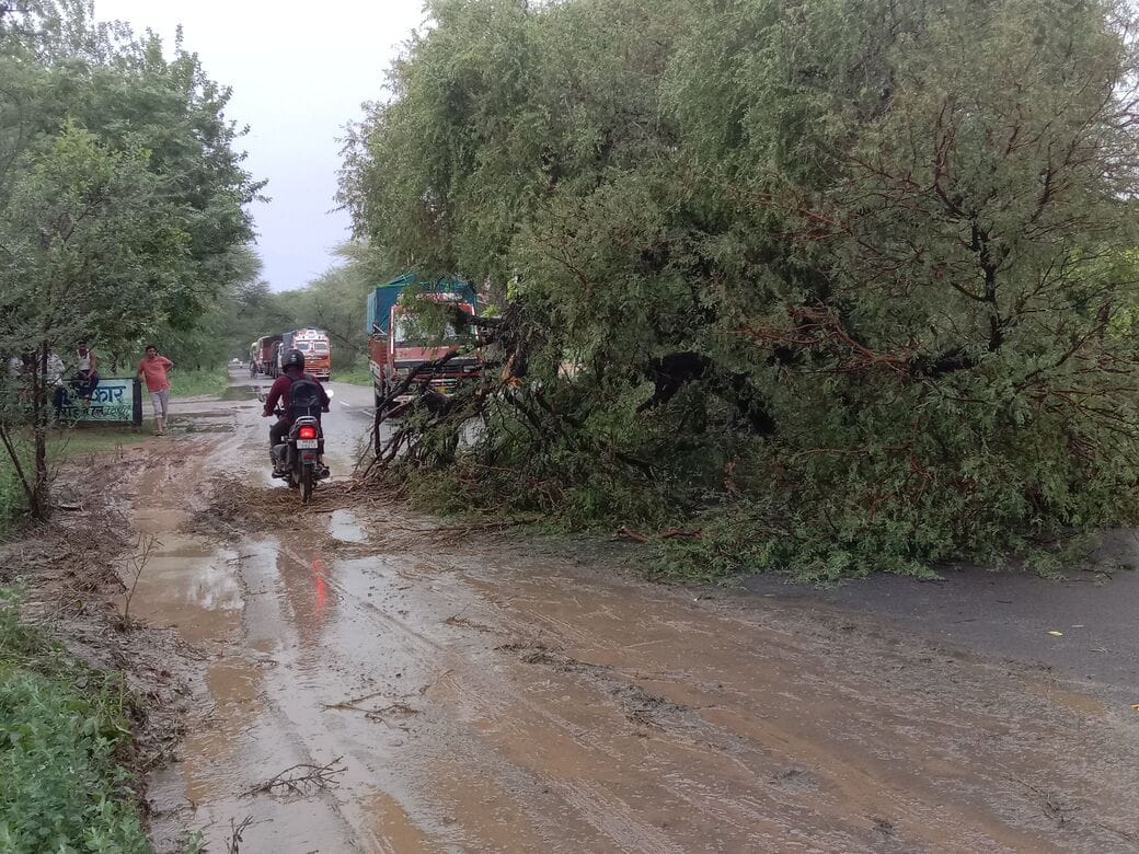 Weather pleasant due to rain; several routes affected by trees falling during the storm.