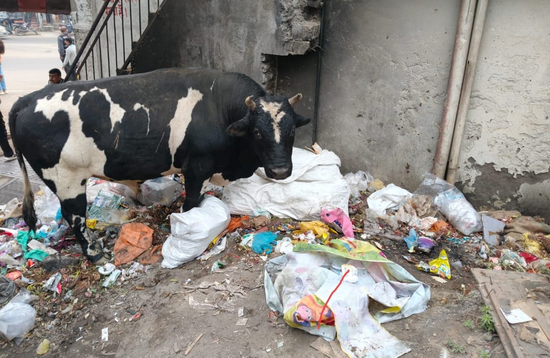 Fees hiked, yet sanitation remains unimproved; garbage piles up near the school.