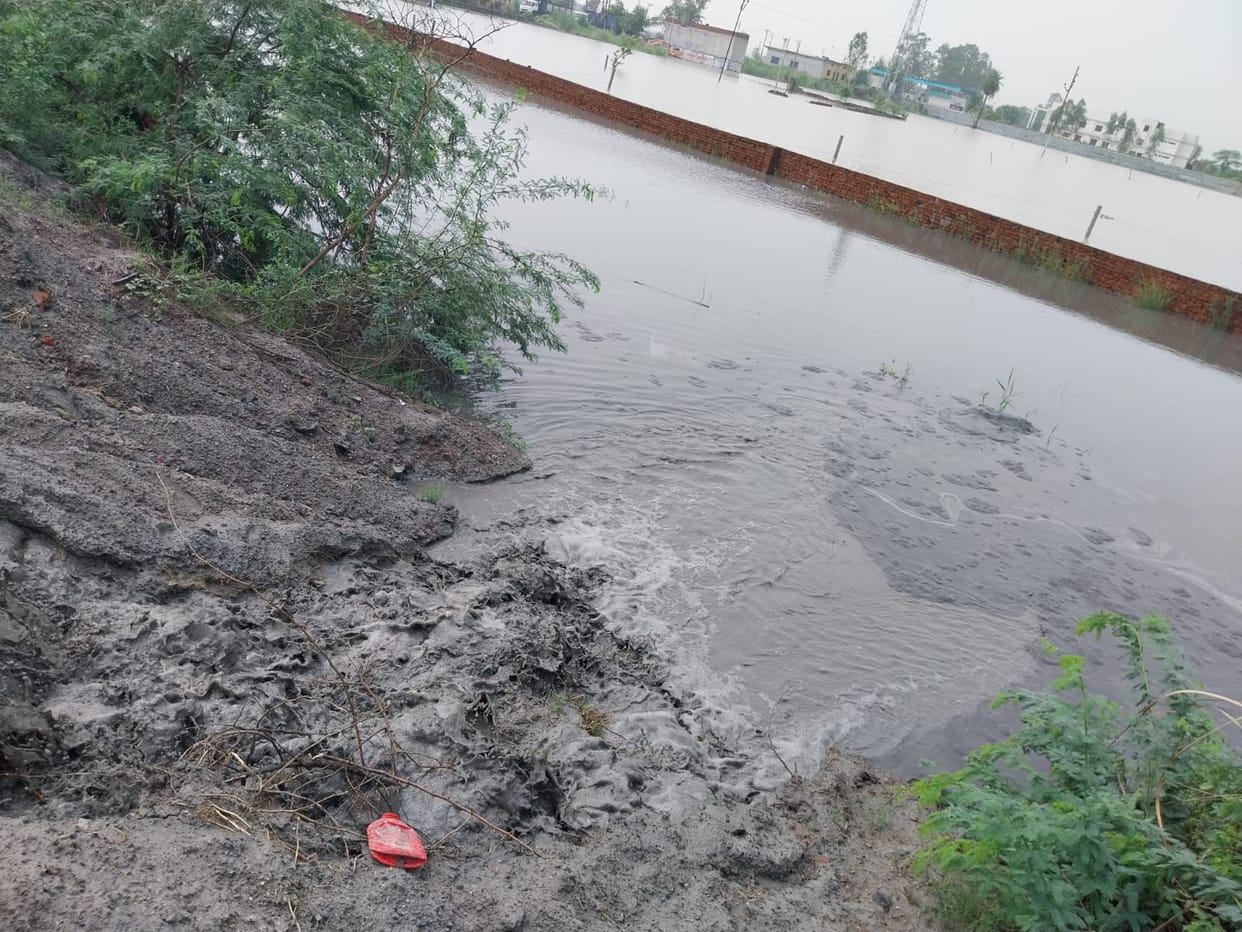 Paddy crop submerged in water after powerhouse dam breach