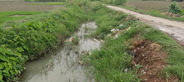 Mud and silt are deposited at many places in Khaira-Pawani Minor.