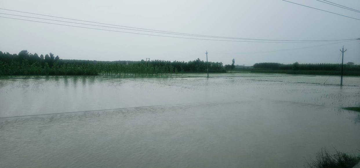 Som and Pathrala rivers in spate; water enters villages