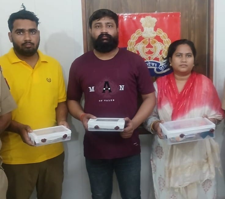 Three members of a gang, including a woman, arrested for job fraud.