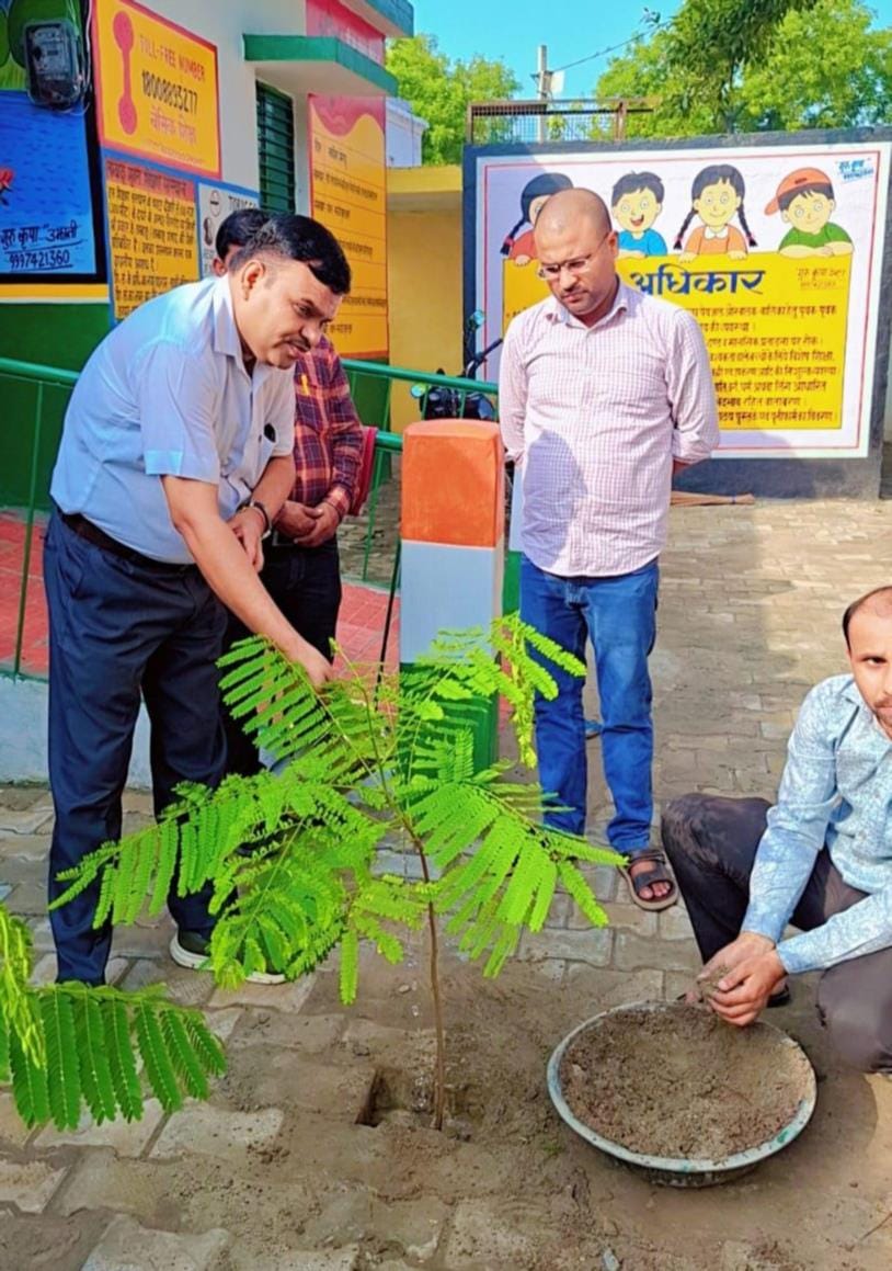 Tree plantation drive held in council schools; children planted saplings.