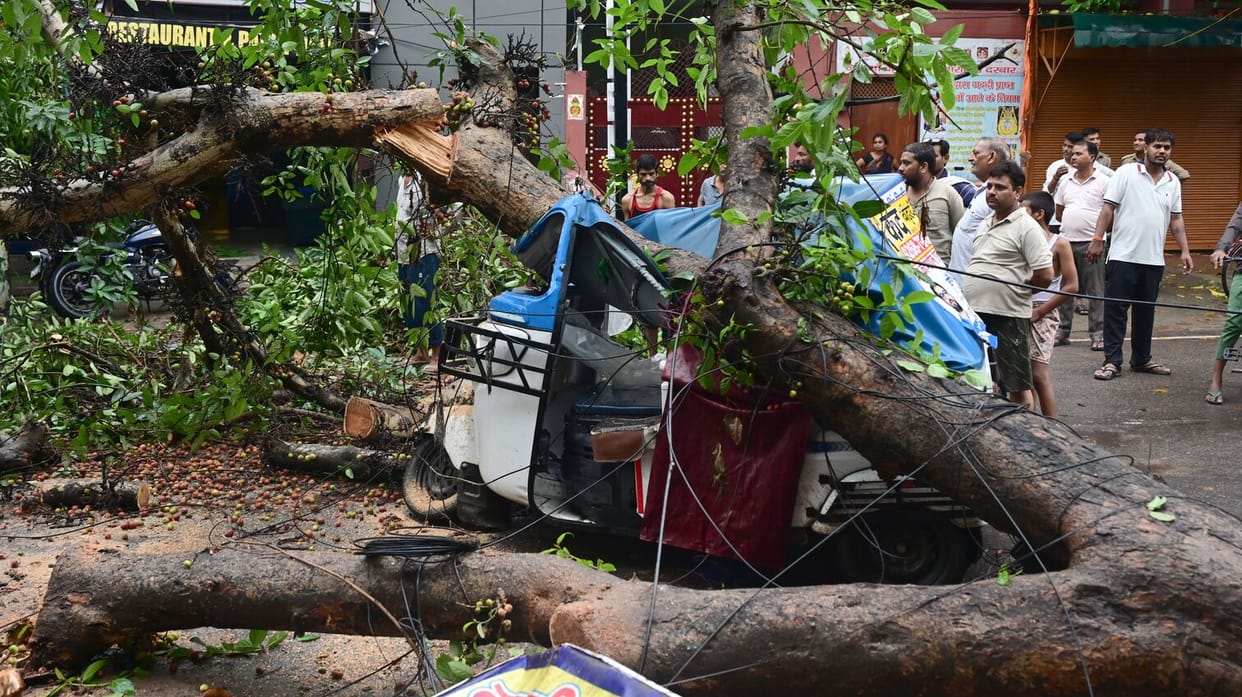 Three trees fell during the rain; auto-rickshaw driver critically injured after being crushed.