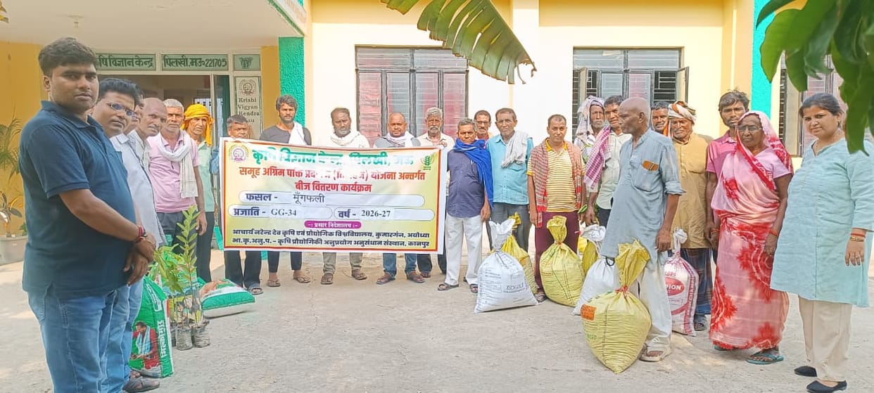 Groundnut seeds distributed to farmers.