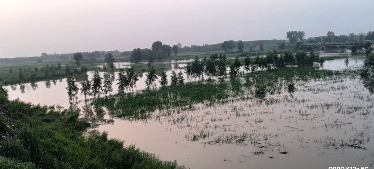 Rising water levels in the Hindon River cause water to flood fields; crops face a threat.