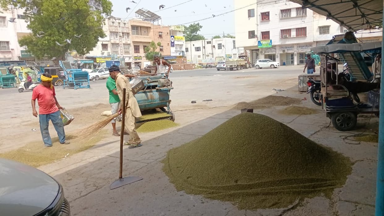 Government procurement of moong has not started even after 10 days; farmers forced to sell at a price lower by